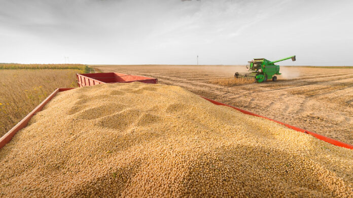cosecha-soja